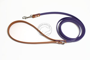 Two Tone Biothane Dog Leash - 1/2" (12mm) wide - Thin leash