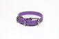 Amethyst Biothane Small Dog Collar - 1/2" (12mm) wide