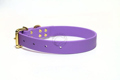 Amethyst Biothane Dog Collar - 1 inch (25mm) wide
