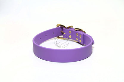 Amethyst Biothane Dog Collar - 1 inch (25mm) wide