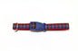 Cameron of Erracht clan tartan - dog collar