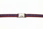 Cameron of Erracht clan tartan - dog collar