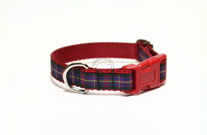 Cameron of Erracht clan tartan - dog collar