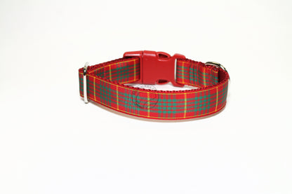 Cameron clan tartan - dog collar
