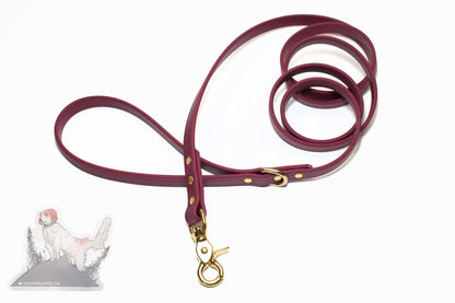 Wine Merlot Biothane Dog Leash - Regular 16mm (5/8") width