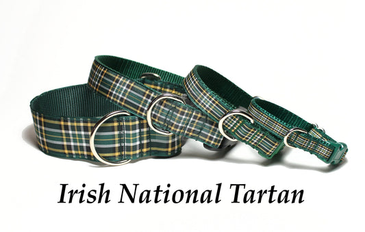 Irish National tartan - dog collar
