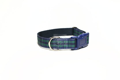 Douglas Modern Clan tartan - dog collar