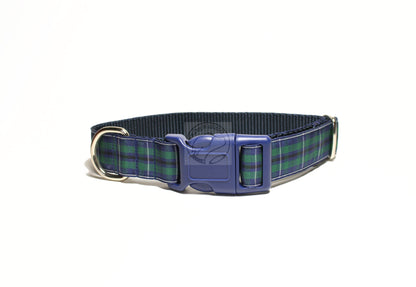 Douglas Modern Clan tartan - dog collar