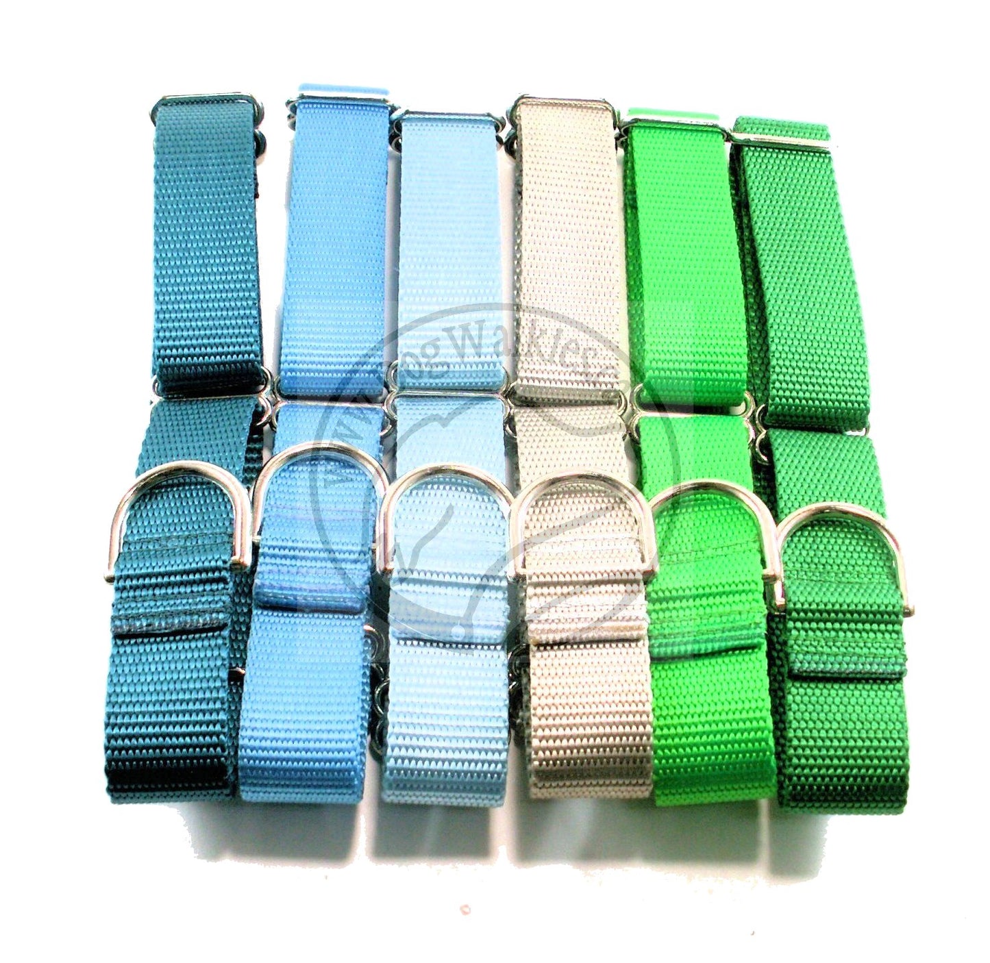 Martingale Dog Collar 1" (25mm) wide; Simple - Elegant - Strong