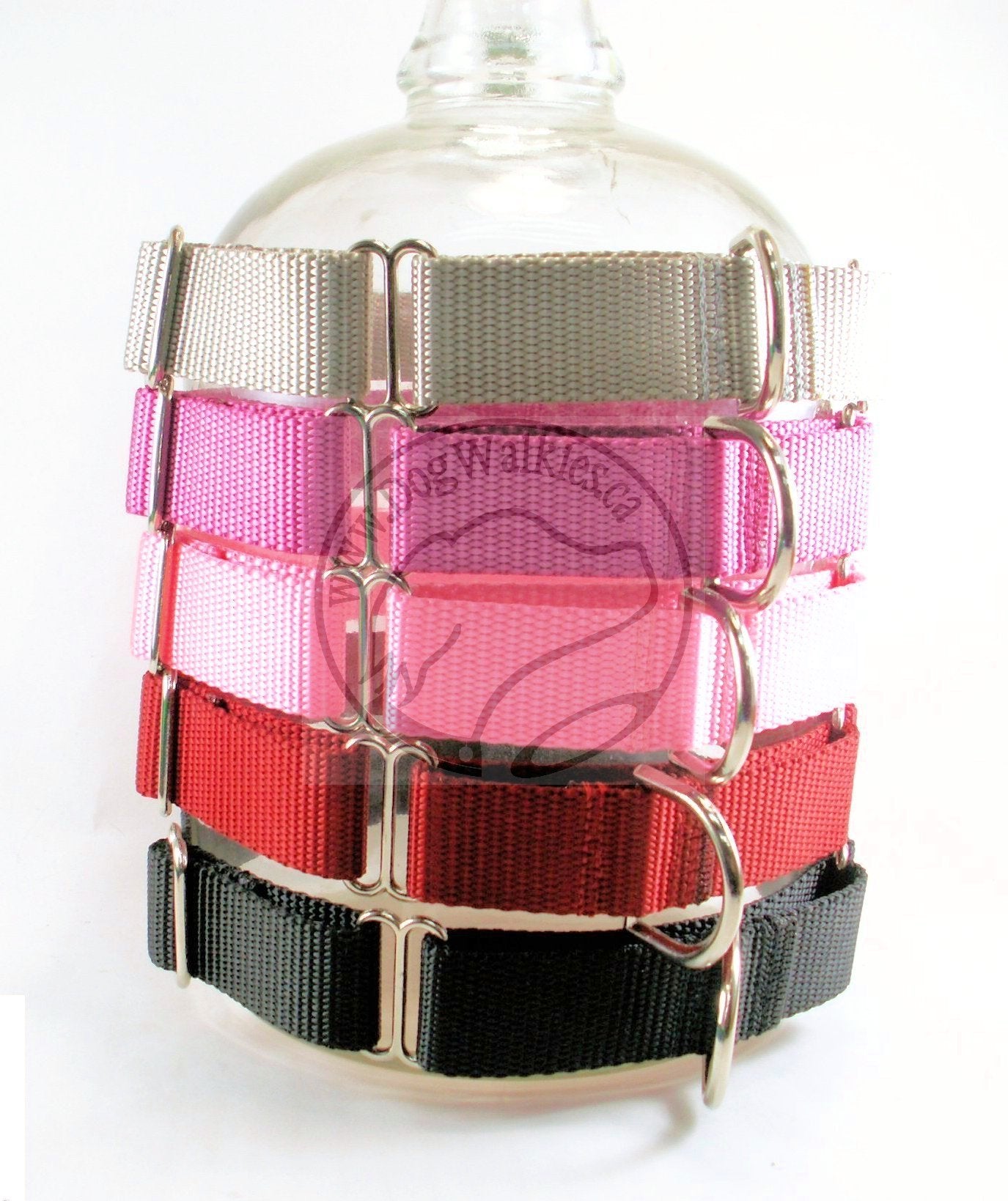 Martingale Dog Collar 1" (25mm) wide; Simple - Elegant - Strong