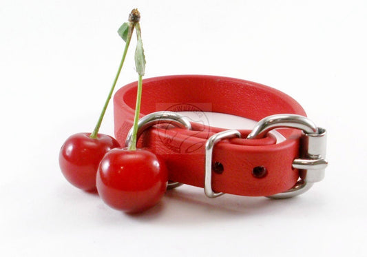 Poppy Red Biothane Dog Collar - 5/8"(16mm) wide
