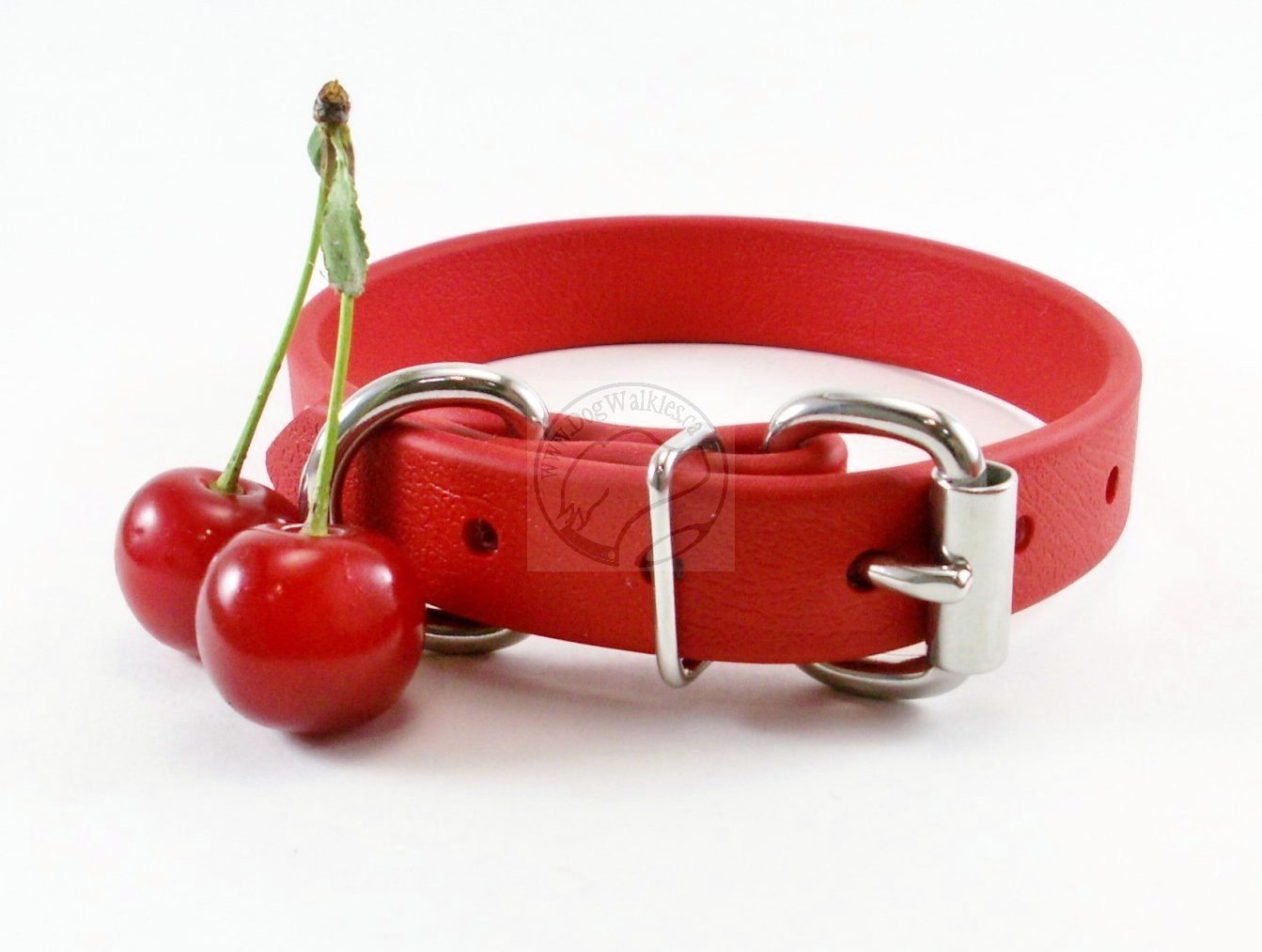 Poppy Red Biothane Dog Collar - 3/4" (20mm) wide