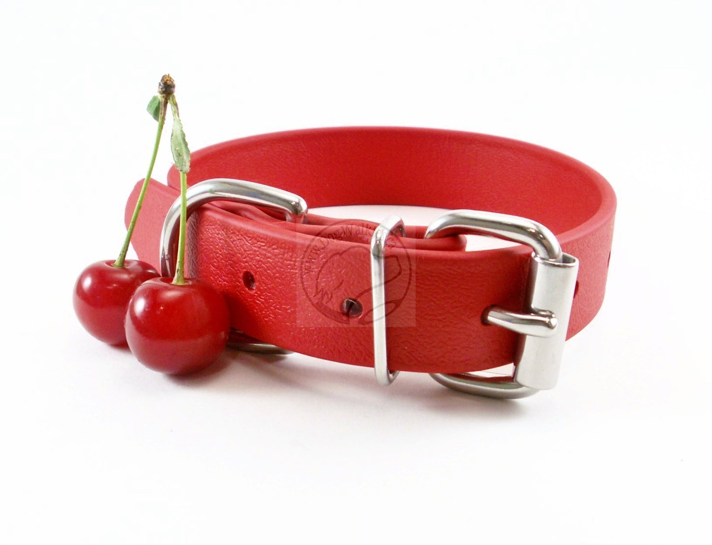Poppy Red Biothane Dog Collar - 1 inch (25mm) wide