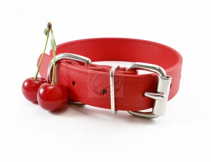 Poppy Red Biothane Dog Collar - 1 inch (25mm) wide