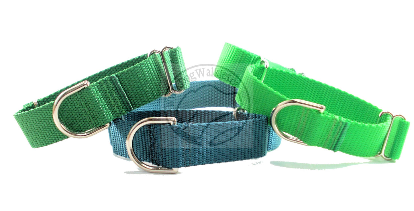 Martingale Dog Collar 1" (25mm) wide; Simple - Elegant - Strong
