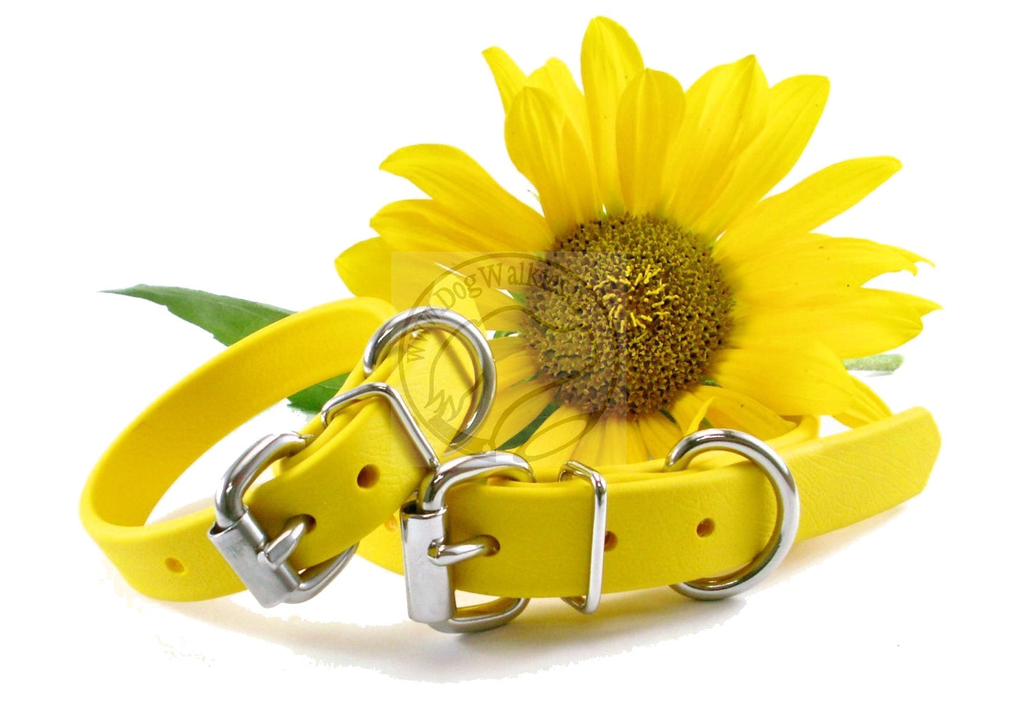 Sunflower Yellow Biothane Dog Collar - 5/8"(16mm) wide
