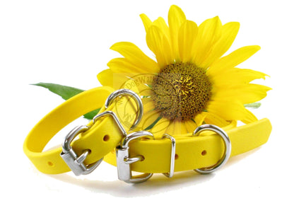 Sunflower Yellow Biothane Dog Collar - 5/8"(16mm) wide