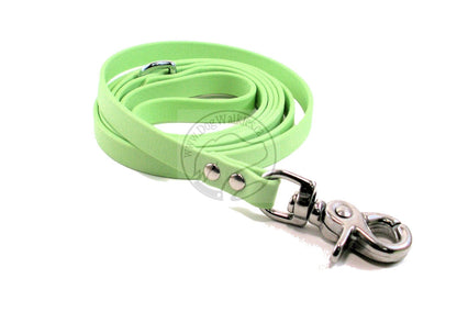 Discontinued- Limited Pastel Mint Green Small Dog Leash