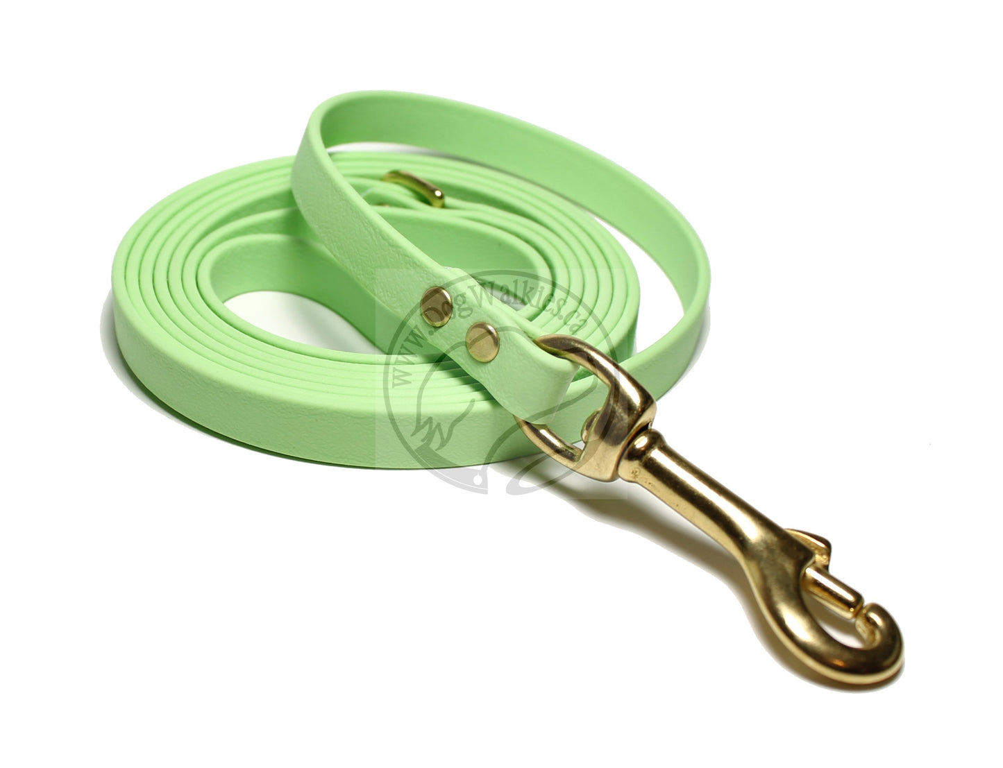 Discontinued- Limited Pastel Mint Green Small Dog Leash