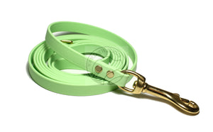 Discontinued- Limited Pastel Mint Green Small Dog Leash