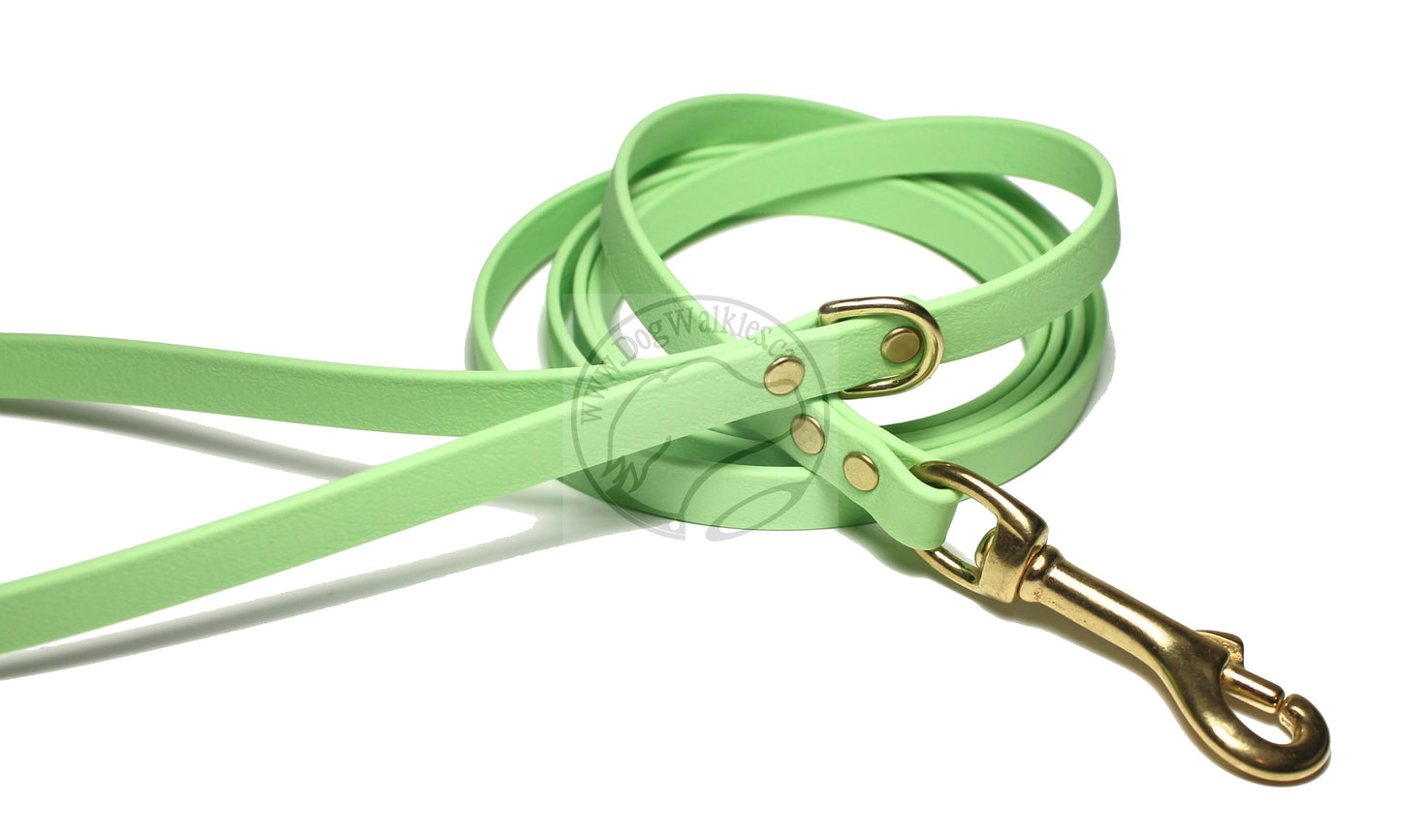 Discontinued- Limited Pastel Mint Green Small Dog Leash