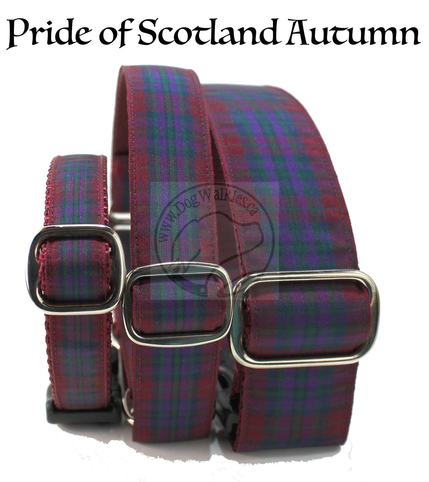 Pride of Scotland Autumn tartan - dog collar