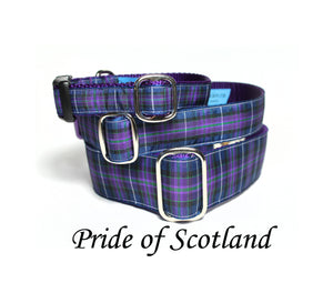 Pride of Scotland Modern tartan - dog collar