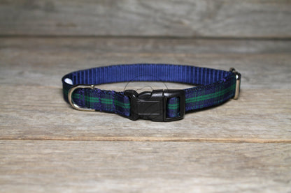 Blackwatch clan tartan - dog collar