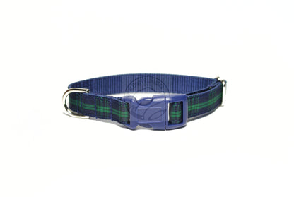 Blackwatch clan tartan - dog collar