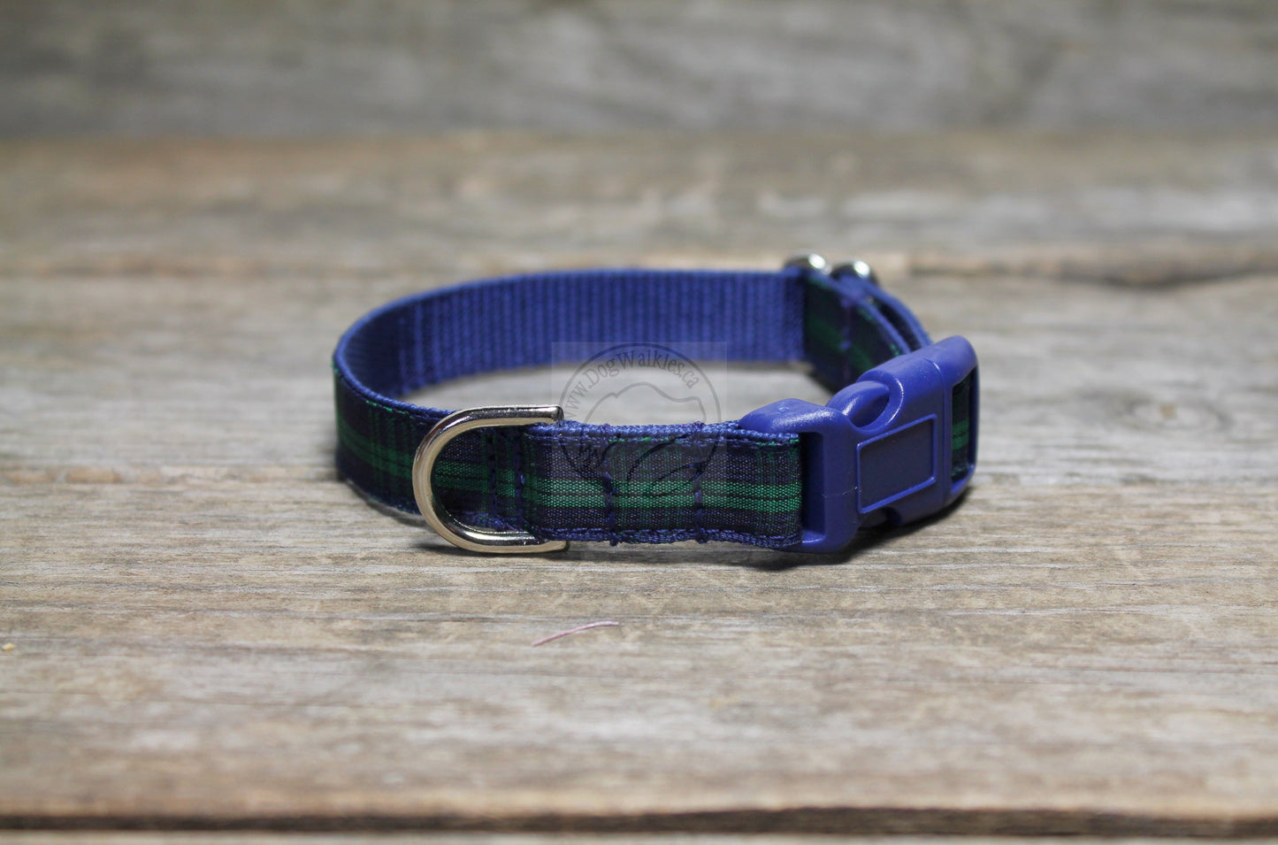 Blackwatch clan tartan - dog collar