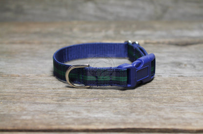 Blackwatch clan tartan - dog collar