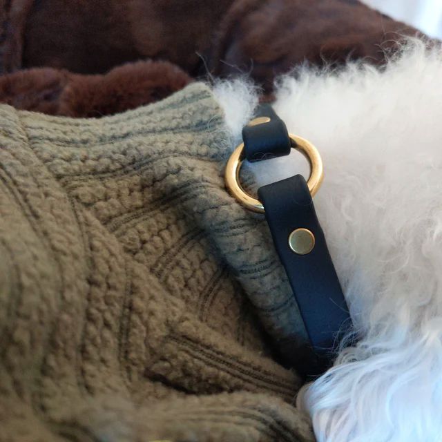 Dog Collar with Breakaway Buckle and O ring - Genuine Biothane Vegan Leather - 12mm (1/2") width - O Ring Collar