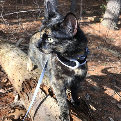 Lighter Weight Waterproof leashes - leash for cats - tracking recall long line - 3/8" (9mm) Biothane