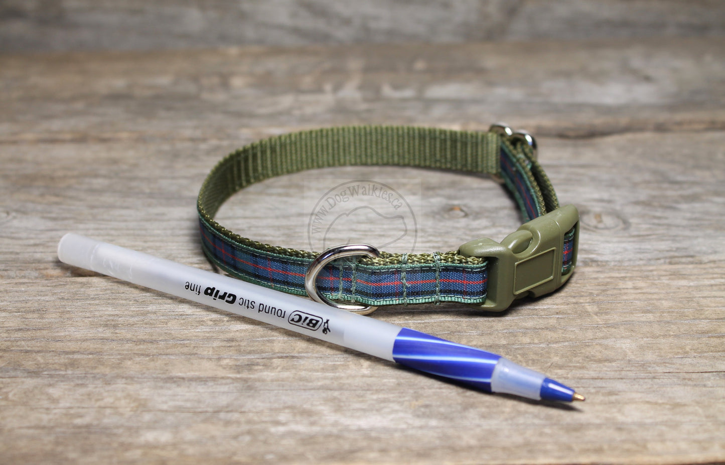 Flower of Scotland tartan - dog collar