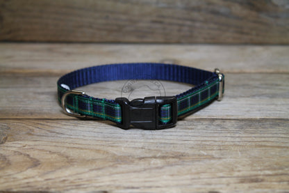 Campbell clan tartan - dog collar