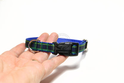Gordon clan tartan - dog collar