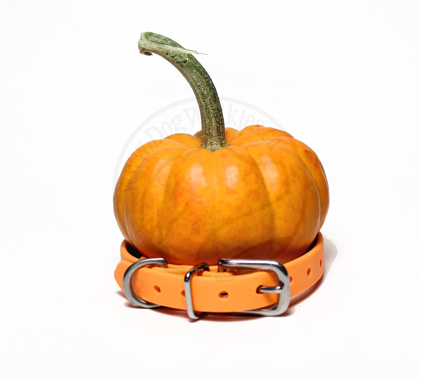 Bright Pumpkin Orange Biothane Small Dog Collar - 1/2" (12mm) wide