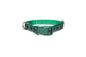 MacKenzie Clan tartan - dog collar
