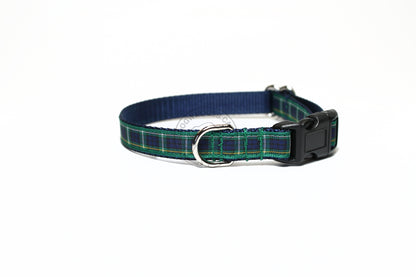 Campbell clan tartan - dog collar