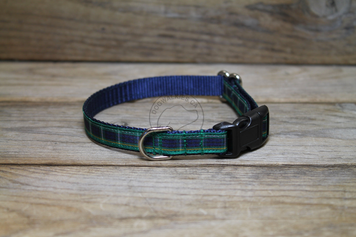 Campbell clan tartan - dog collar