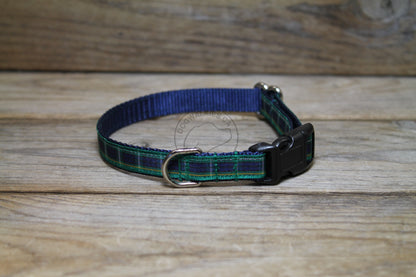 Campbell clan tartan - dog collar