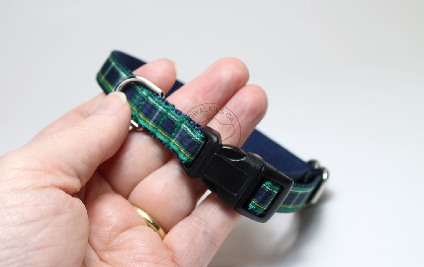 Campbell clan tartan - dog collar