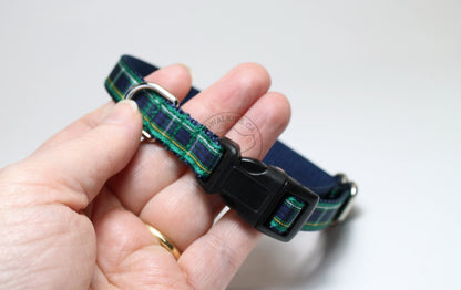 Campbell clan tartan - dog collar