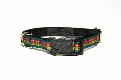 Buchanan clan tartan - dog collar