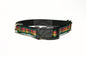 Buchanan clan tartan - dog collar