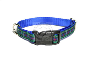 Rose Clan tartan - dog collar