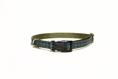 Flower of Scotland tartan - dog collar