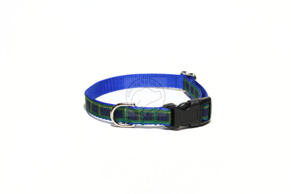 Gordon clan tartan - dog collar