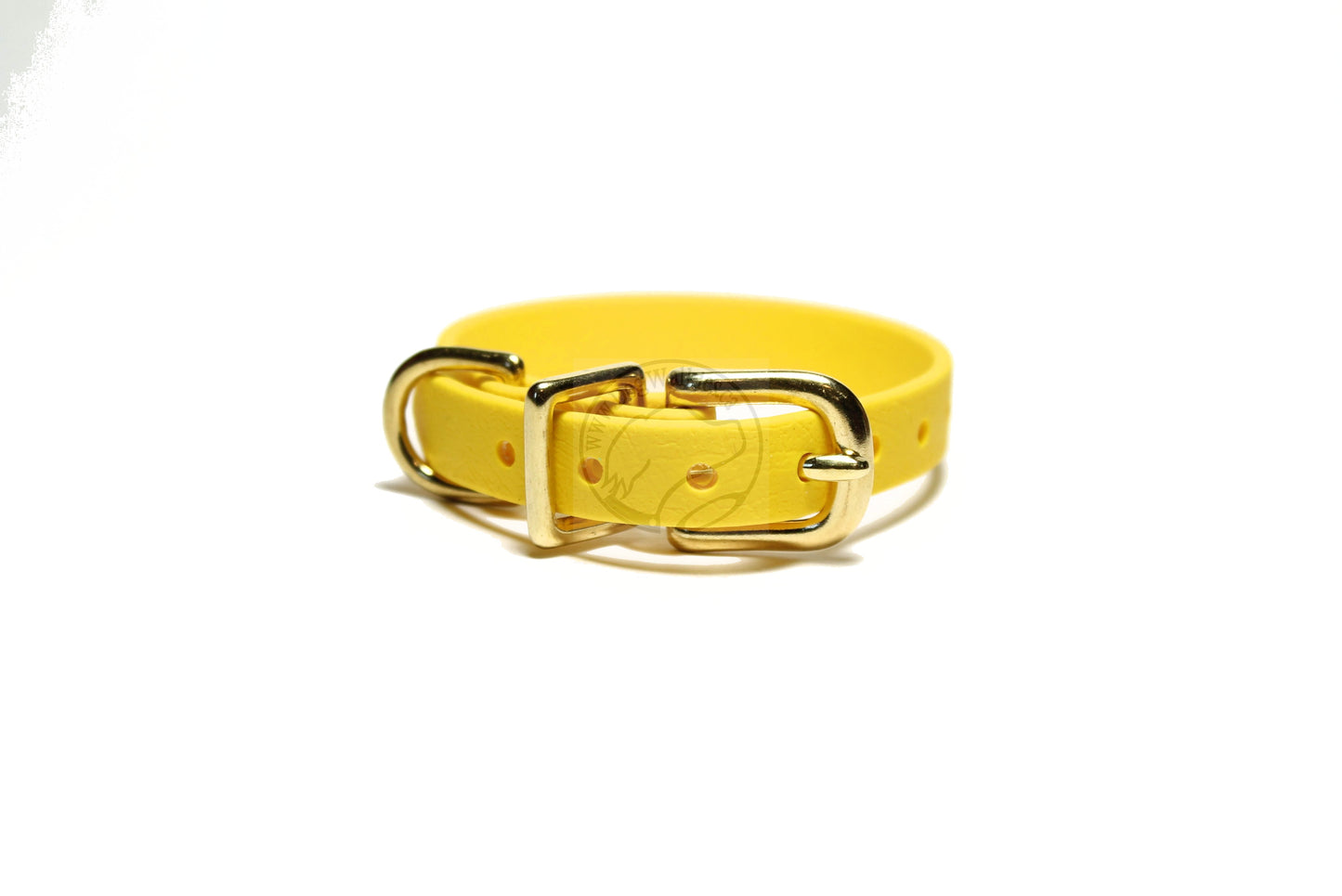 Cat Collar Non-Breakaway Biothane Collar - 1/2" (12mm) wide - all 39 colours