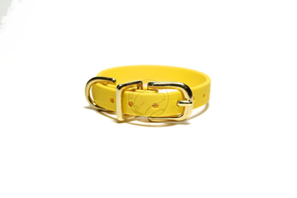 Cat Collar Non-Breakaway Biothane Collar - 1/2" (12mm) wide - all 39 colours